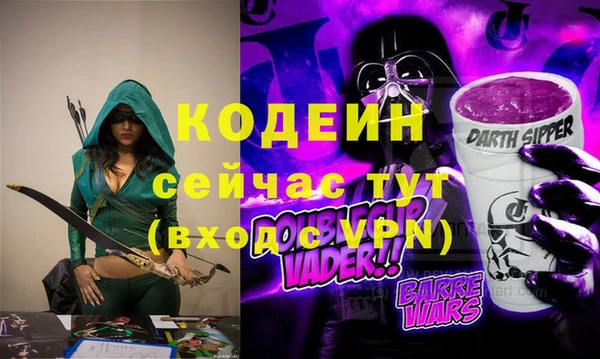 хмурый Алзамай